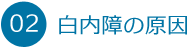 02. 白内障の原因